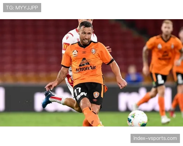 布里斯班狮吼新赛季阵容巨变重塑球队风貌誓要告别低迷重返巅峰